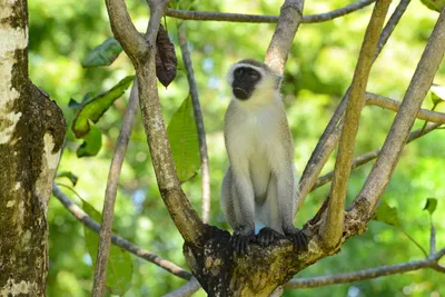 DSC_7921 (Large).JPG